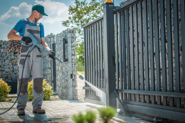 Best Roof Washing  in Llington, MI