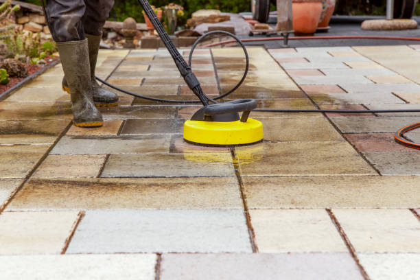 Animal Enclosure Cleaning in Millington, MI